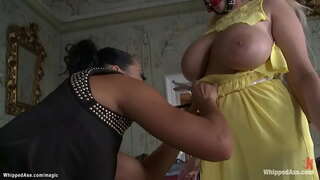 Maron chikitu domina Canta Domain látigos ta grandi kaba haltu hese lines katibu Angel Wicky, abou, na e e la den banda ku strèp na bola